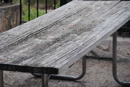 Table landscape tree nature Photo