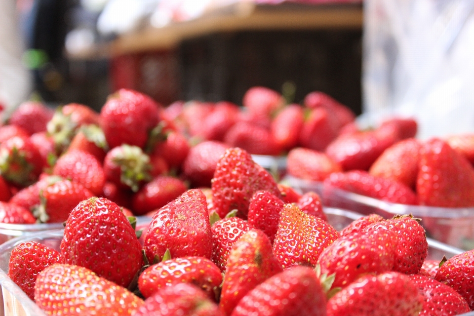 Plant raspberry fruit berry