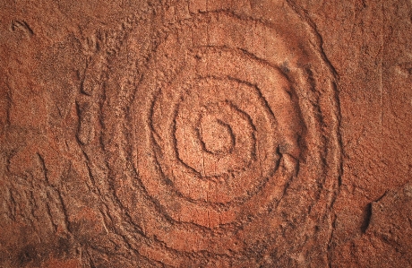 Rock wood texture spiral Photo