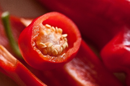 Nature plant fruit flower Photo