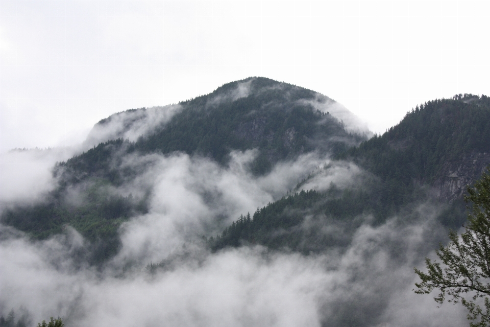 Montagne neige nuage brouillard