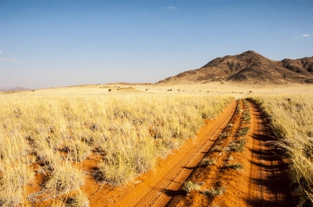 Landscape nature sand horizon Photo