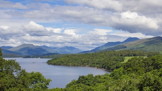 風景 水 自然 荒野
 写真