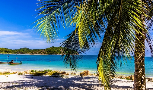 Beach landscape sea coast Photo