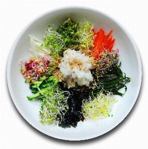 Flower dish meal food Photo