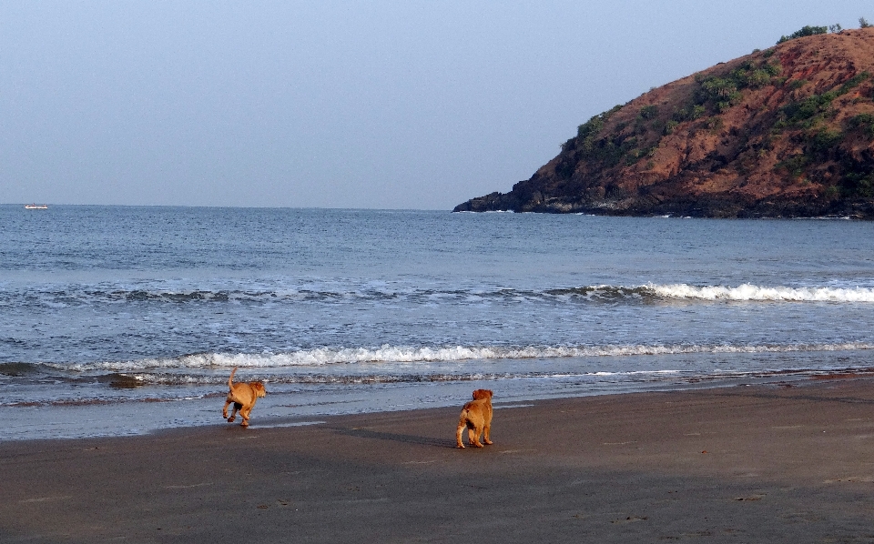 Playa mar costa arena