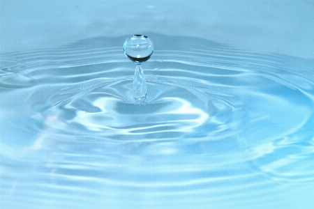 Water drop wave petal Photo