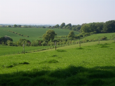 Landscape nature grass outdoor Photo