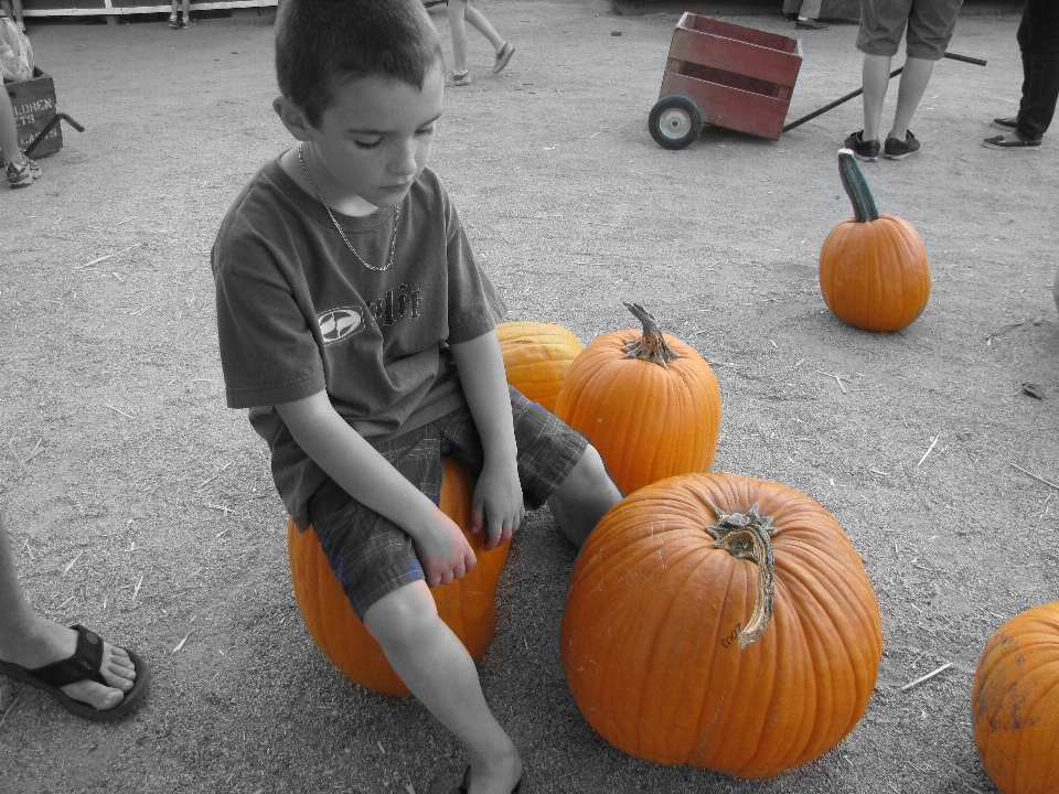 Boy kid cute orange