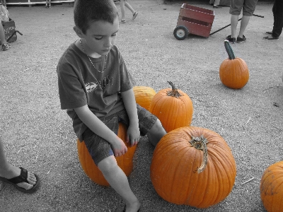 Boy kid cute orange Photo