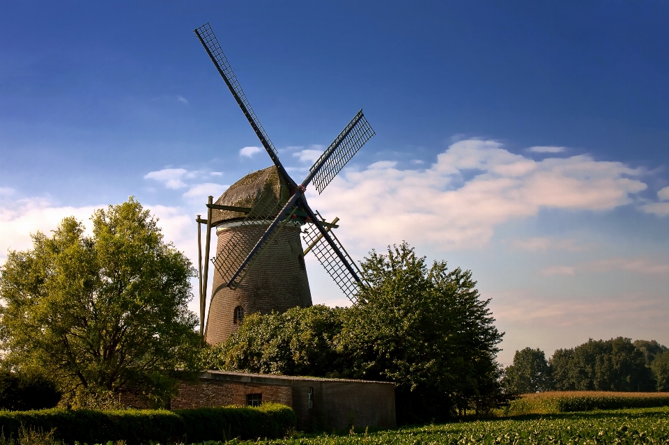 Paysage nature grain moulin à vent