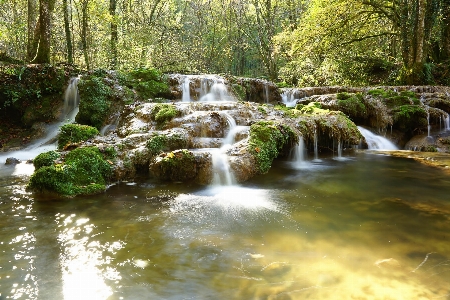 Landscape tree water nature Photo