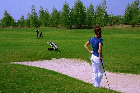 Grass sport lawn meadow Photo