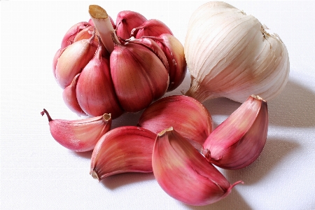 Plant flower petal food Photo