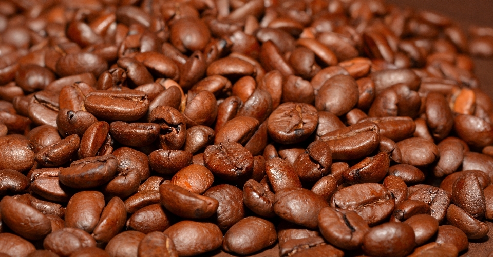 Café aroma comida produzir