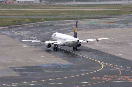 Wing field fly airport Photo