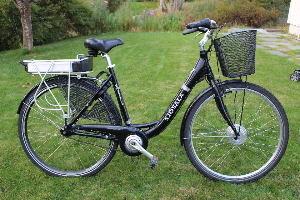 Rueda bicicleta vehículo cesta