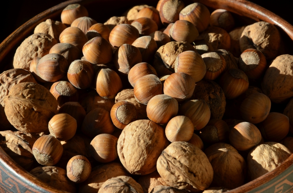 Wood food produce autumn