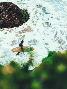 Foto Pria laut air alam