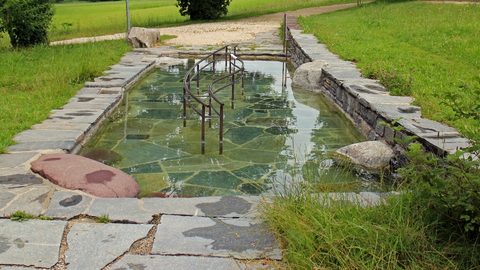 水 草 芝生 フィート