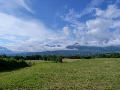 Landscape nature grass horizon Photo