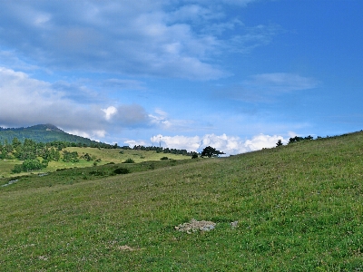 Landschaft natur gras horizont Foto