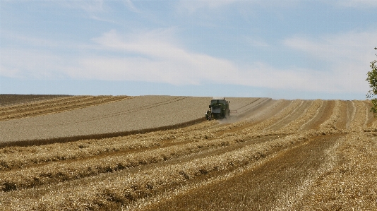 Landschaft gras himmel heu Foto