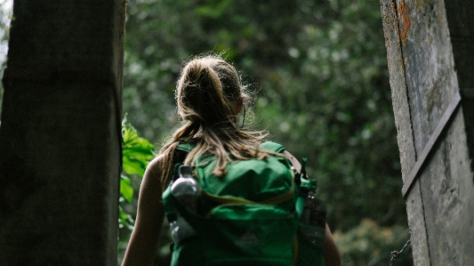 Nature forest grass woman Photo