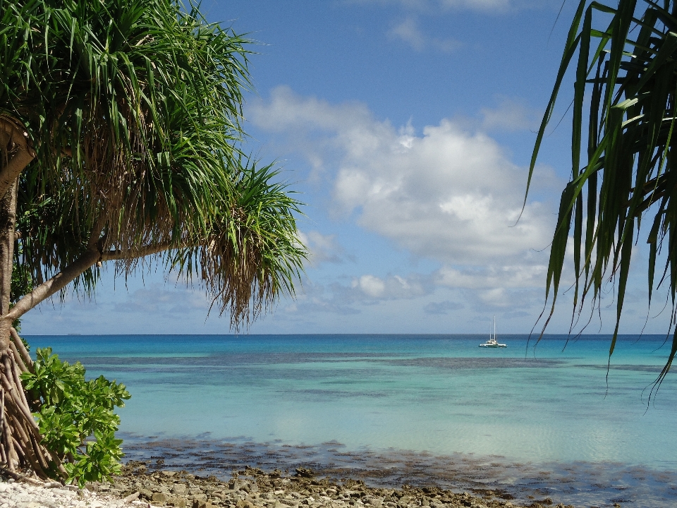 Beach landscape sea coast