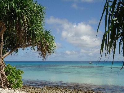 Beach landscape sea coast Photo