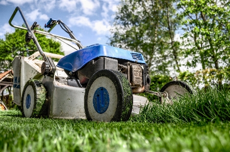 Arbeiten gras traktor feld Foto