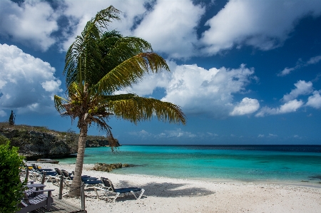 Beach landscape sea coast Photo