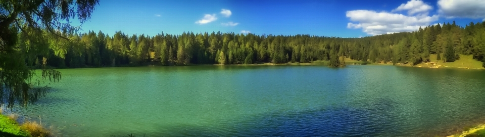 Water forest wilderness meadow