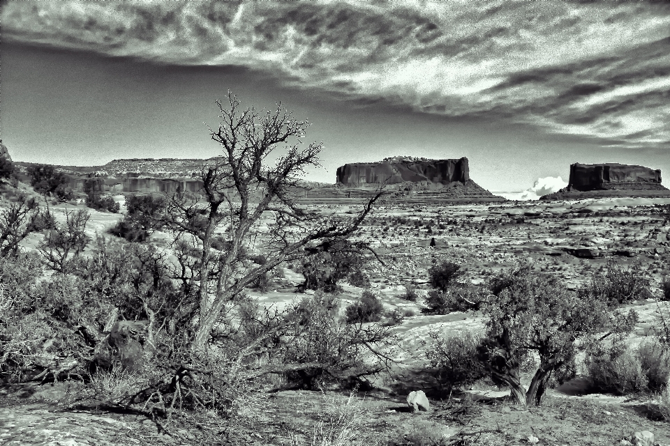 Paisaje rock desierto
 montaña