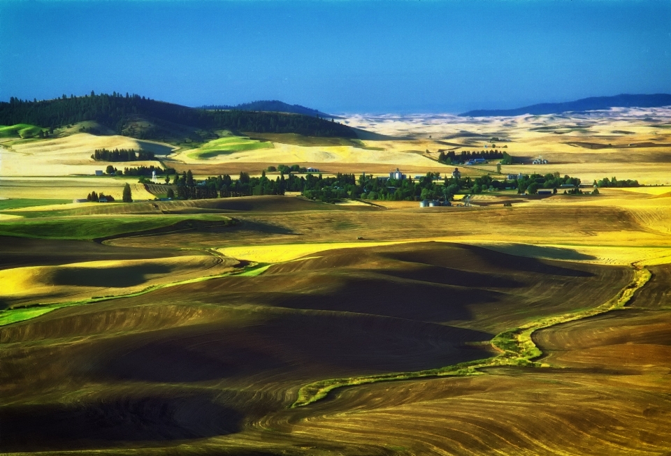 Landschaft natur horizont sumpf
