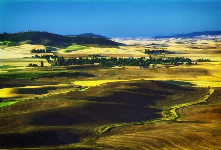 Landscape nature horizon marsh Photo