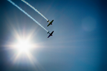 羽 空 飛ぶ 航空機 写真