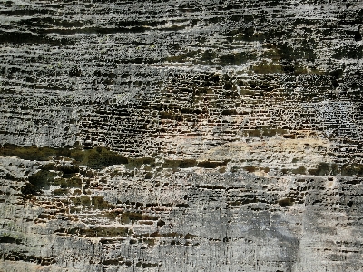 Nature rock structure wood Photo