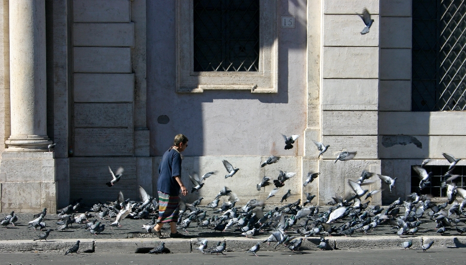 Pedone architettura donna strada