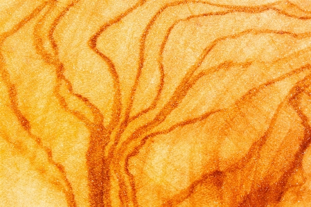 Tree sand structure wood Photo