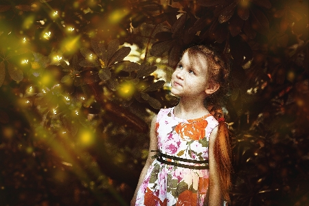 Tree forest girl hair Photo