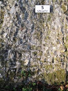 Rock flower stone formation Photo