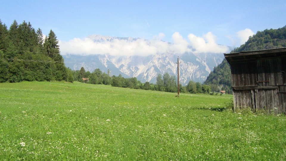 Paesaggio natura erba all'aperto