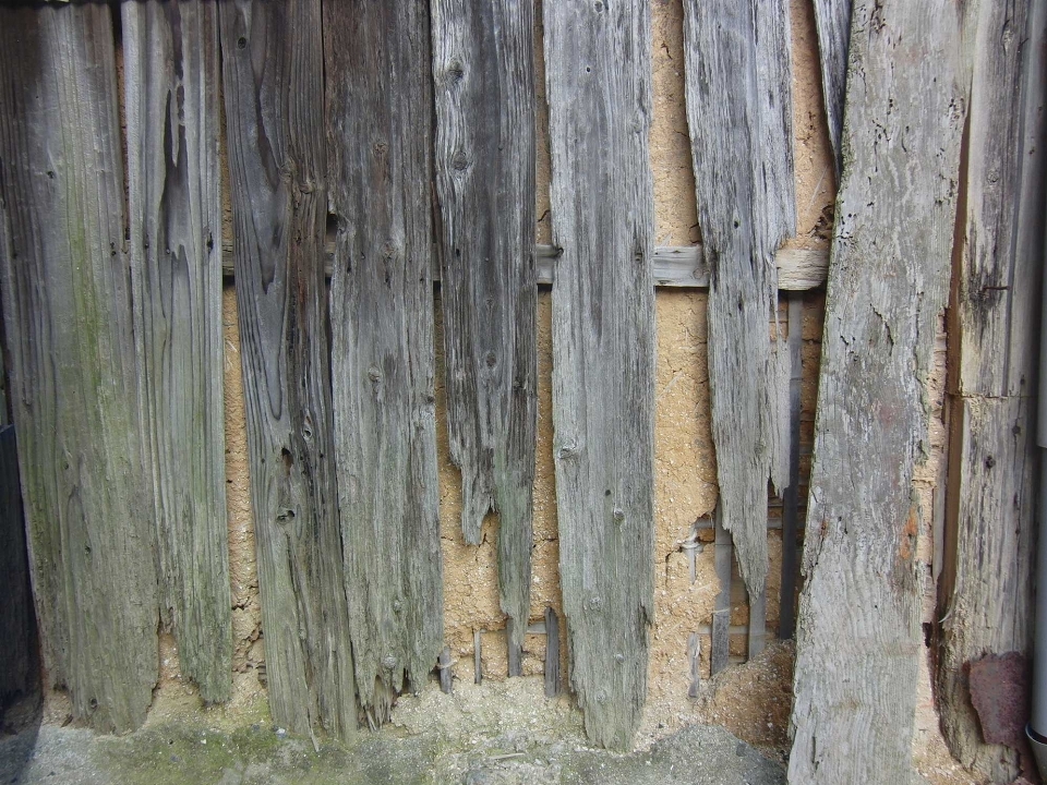 Arbre bifurquer usine bois