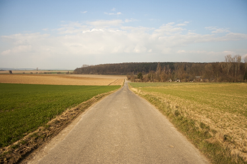 Krajobraz natura ścieżka trawa