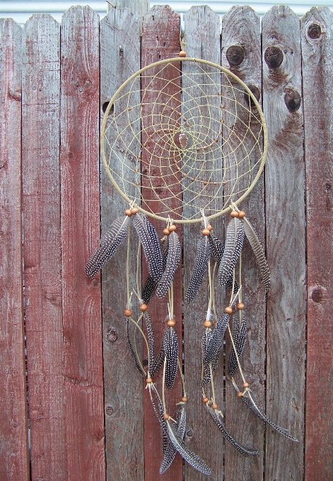 Wood window glass wall