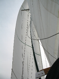 Sea water outdoor wing Photo