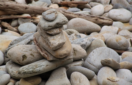 Zdjęcie Plaża wybrzeże natura piasek