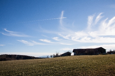 Landscape nature forest grass Photo