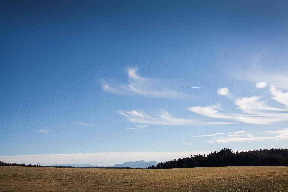 Paysage mer nature forêt